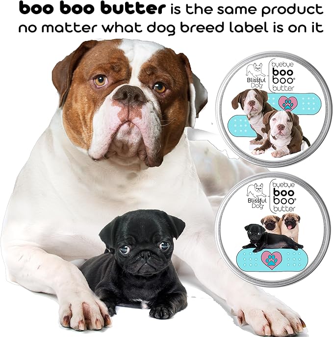 The Blissful Dog Mastiff Boo Boo Butter, 16 oz.