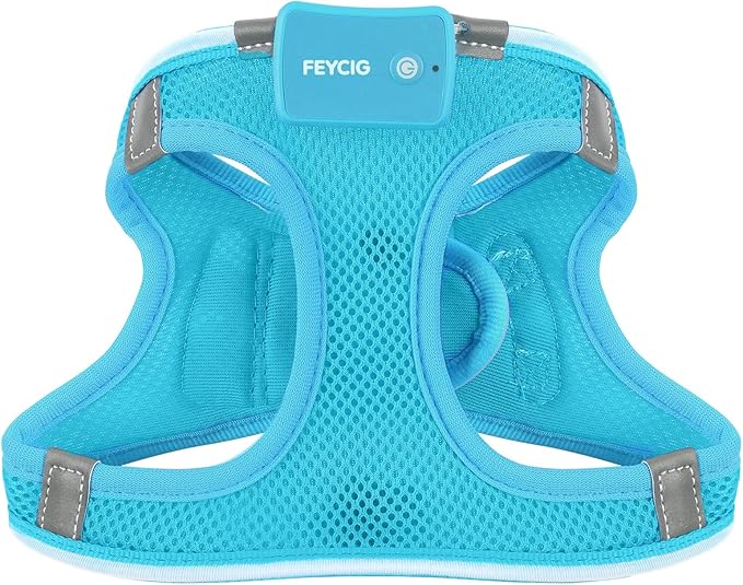 Light Up Dog Harness,Rechargeable LED Dog Harness for Small Medium Large Dogs,Reflective Lighted Safety Vest for Night Walking &amp; Camping,Lightweight &amp; Adjustable,Blue,M