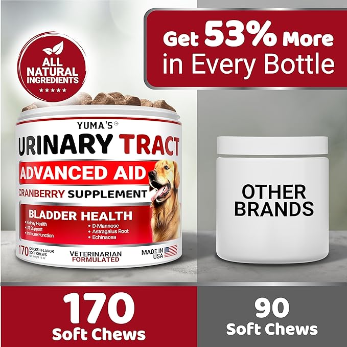 Dog UTI Treatment - 170 Treats - Cranberry Supplement for Dogs - Bladder Control - Urinary Tract Infection Treatment - UTI Medicine Multivitamin - Vitamins and Supplements - Made in USA