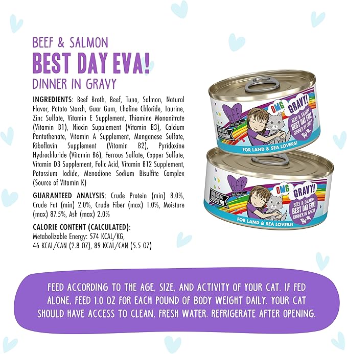 Weruva B.F.F. OMG - Best Feline Friend Oh My Gravy!, Best Day Eva! with Beef &amp; Salmon in Gravy Cat Food, 2.8oz Can (Pack of 12)