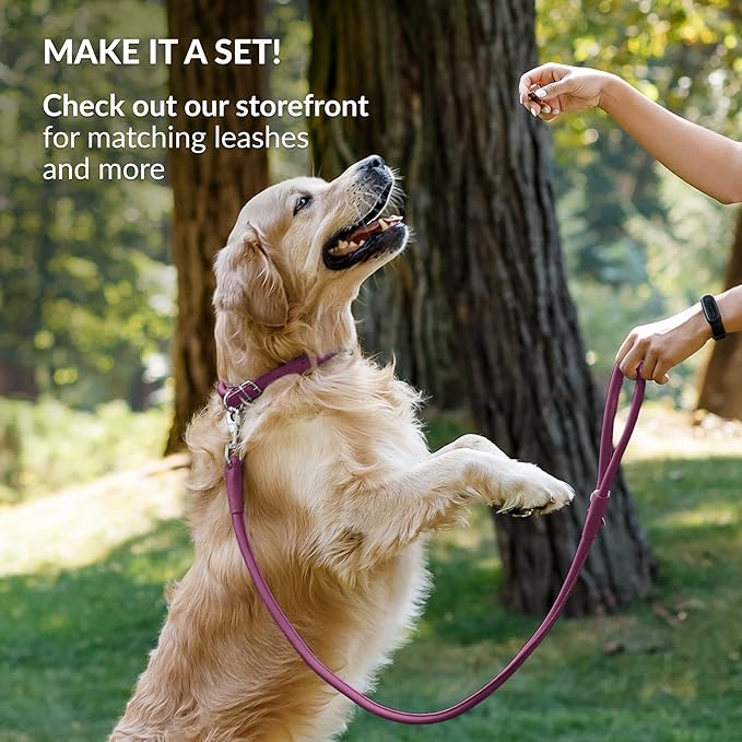 CollarDirect Rolled Leather Dog Collar, Soft Padded Round Puppy Collar, Handmade Genuine Leather Collar Dog Small Large Cat Collars 13 Colors (8-11 Inch, Pink Smooth)