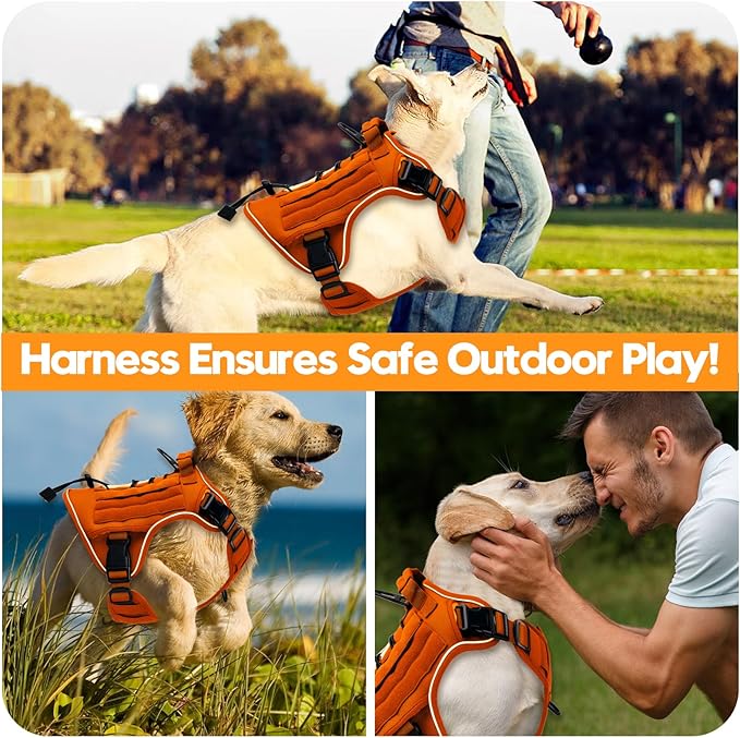 Heavy-Duty Tactical Dog Harness for Large Dogs, No Pull Adjustable Reflective Pet Vest with Molle System, K9 Military-Grade Control for Service Training, Outdoor &amp; 10+ Breeds, Orange, X-Large