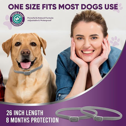 Flea Collar for Dogs – 2 Pack 16 Month Natural Flea &amp; Tick Prevention Dog Flea Collar Adjustable One Size Fits All, Safe and Effective