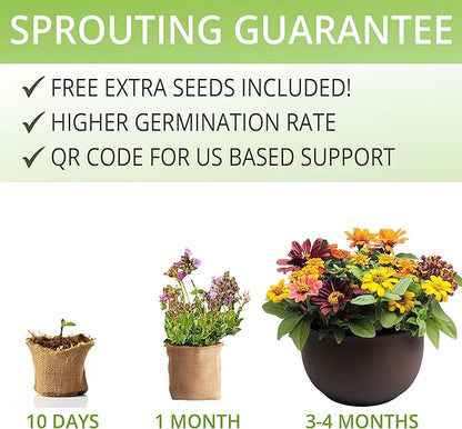 Sunflower, Marigold &amp; Zinnia Flower Seeds Growing Kit – Complete Indoor &amp; Outdoor Kit with Seeds for Planting, Planters, Soil, Tools, Instructions – Ideal for Gift Giving