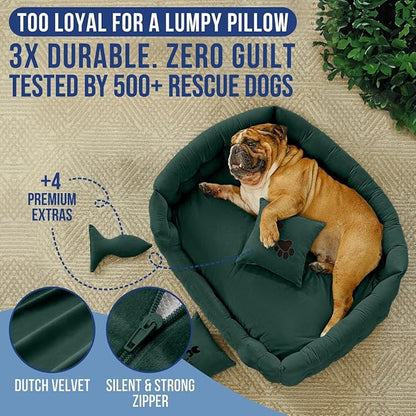 Luxury Dog Bed Chesterfield – Handcrafted Velvet Throne for Dogs | Joint Support, Calming &amp; Temp-Regulating Comfort | Durable 5+ Years, Anti-Claw, Washable 100+ Times – L, Green