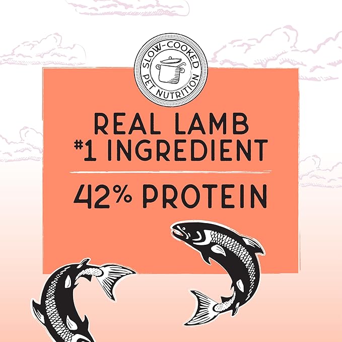 Blackwood Bounty Dry Cat Food, Salmon &amp; Rainbow Trout Recipe for All Life Stages, 2 Pound Bag, High Protein, Grain Free