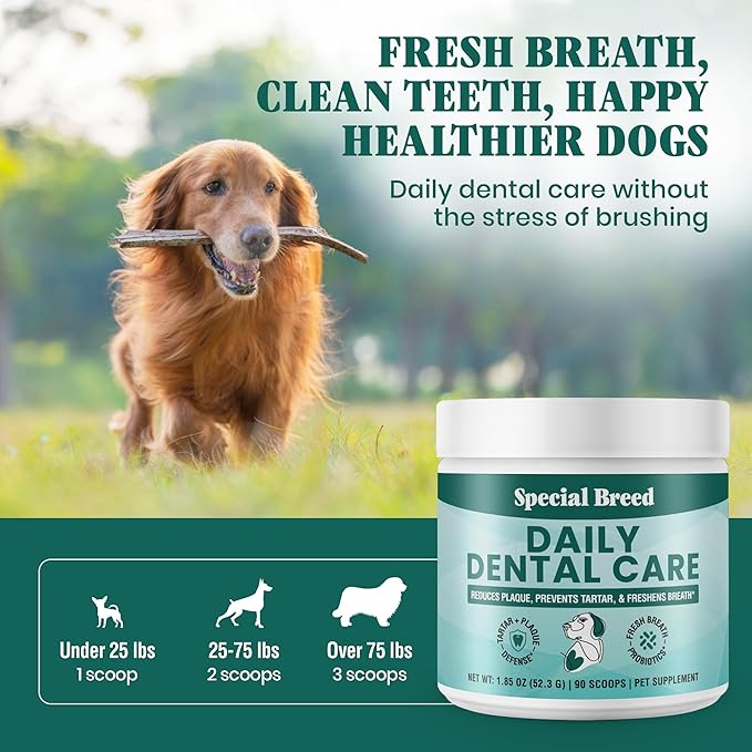 Dog Teeth Cleaning Powder – Natural Dog Dental Powder for Tartar Control, Fresh Breath &amp; Gum Health – Daily Plaque Remover with Zeolite, Brown Algae, Probiotics &amp; Rosemary – 90 Scoops
