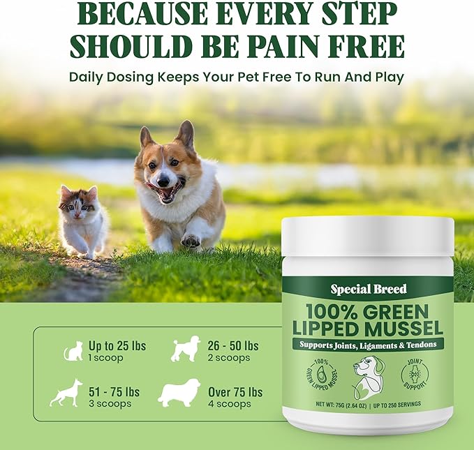 Green Lipped Mussel Powder for Dogs &amp; Cats - 100% New Zealand Green Lipped Mussels - Natural Hip &amp; Joint Supplement for Joints, Tendons, Ligaments, Muscles - 75 Grams - Up to 250 Servings