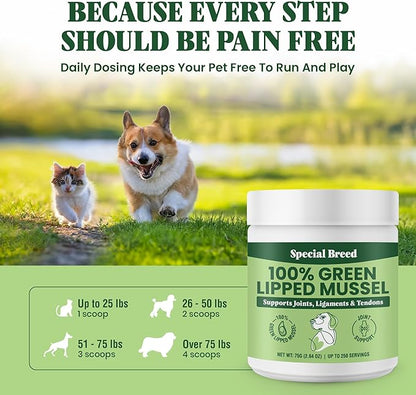 Green Lipped Mussel Powder for Dogs &amp; Cats - 100% New Zealand Green Lipped Mussels - Natural Hip &amp; Joint Supplement for Joints, Tendons, Ligaments, Muscles - 75 Grams - Up to 250 Servings