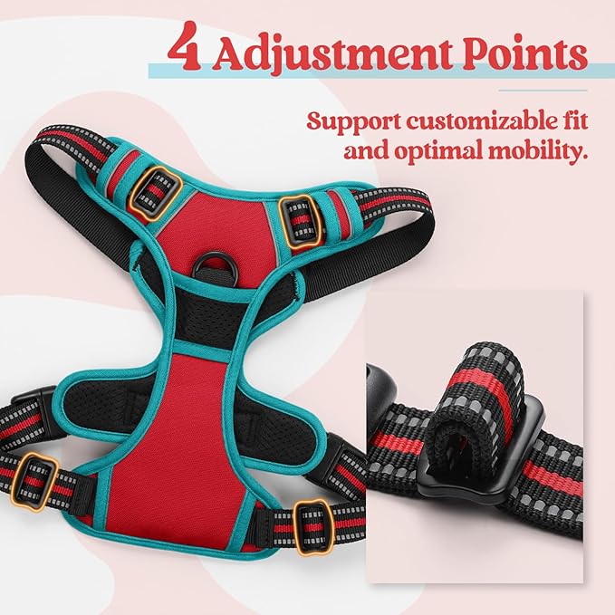rabbitgoo Dog Harness No Pull with 2 Leash Clips, Adjustable Soft Padded, Reflective Oxford No Choke Pet Vest with Easy Control Handle for Small Dogs, Red &amp; Teal, S