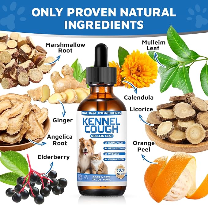 Kennel Cough Herbal Drops for Dogs &amp; Cats,Dog Cough Treatment,Dog Cough Suppressant,Kennel Cough for Dogs,Coughing Treatment Liquid,Cough Treatment for Cats,Natural Cough Supplement for Cat