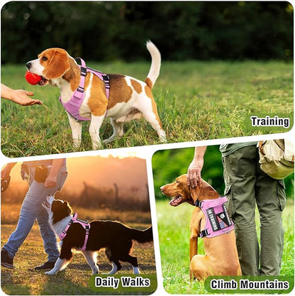 WINSEE Service Dog in Training Harness with 5 PCS Patches, Reflective Tactical Dog Vest Harness, Adjustable Soft Oxford Pet Harness with Easy Control Handle, Hook &amp; Loop Panels for Walking Hiking