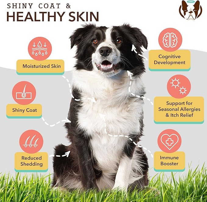 Natural Dog Company Healthy Joints, Skin and Coat Bundle for Dogs, Includes (1) Bottle Natural Dog Company Skin and Coat Oil, (1) Bottle Liquid Glucosamine, Food Topper, Dog&