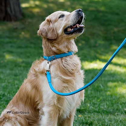 CollarDirect Rolled Leather Dog Collar, Soft Padded Round Puppy Collar, Handmade Genuine Leather Collar Dog Small Large Cat Collars 13 Colors (11-14 Inch, Light Blue Textured)