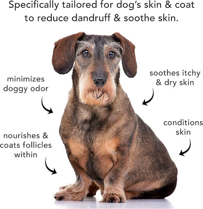 Pride and Groom The Sensitive One Box Set – Dog Shampoo &amp; Conditioner with All Natural Blend of Essential Oils &amp; Ingredients to Soothe, Nourish &amp; Untangle for Long Lasting Shine &amp; Manageability – 32oz
