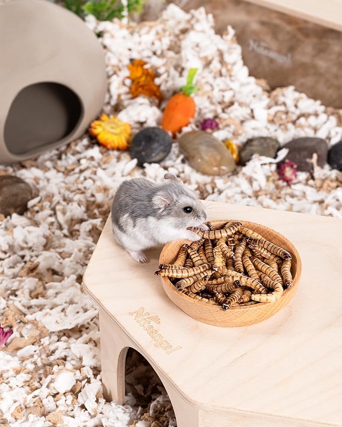 Niteangel Small Animal Snack &amp; Treats - Small Critter Natural Treat for Dwarf Syrian Hamsters Gerbils Mice Sugar Glider Hedgehogs Chickens Birds (Freeze-Dried Worms- 1.4oz (40g))