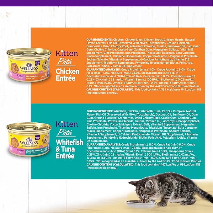 Wellness Complete Health Pate Kitten Wet Cat Food, Natural, Protein-Rich, Grain Free, 3 Ounce, 12 Pack, (Whitefish &amp; Chicken Variety Pack)