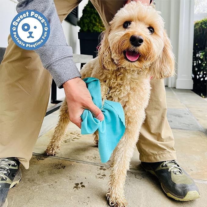 Sweet Paws Portable Dog Paw Towel, Lightweight &amp; Super Absorbent Microfiber, Clips onto Leash, Quick Drying Towel for Dogs Paws with Silicone Case, Dry Dog’s Paws on The Go - Small - Rosy Glow