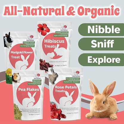 Snout and Shell Floral Favorites 4-in-1 Natural Treats for Small Pets – Pea Flakes, Marigold, Rose Petals &amp; Hibiscus – Healthy Snacks for Rabbits, Guinea Pigs, Chinchillas &amp; More