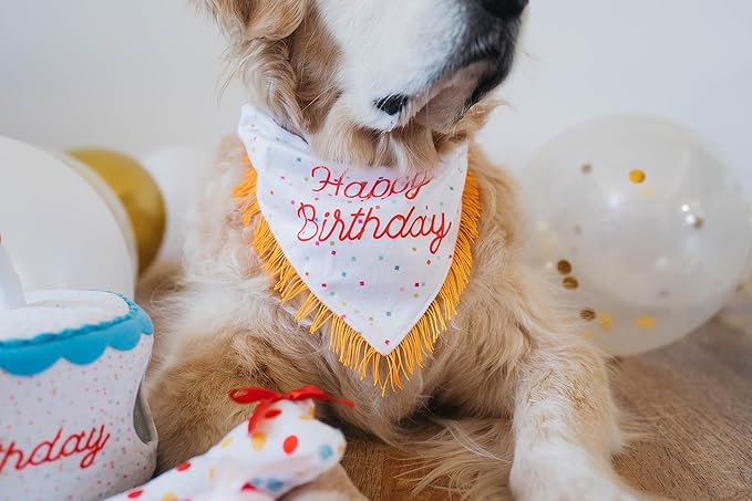 ZippyPaws Dog Birthday Gift Bandana &amp; Bone - Cute Accessories for Girl &amp; Boy Dogs, Holiday Set, Fits Small, Medium, &amp; Large Dogs, Stuffed Plush Toy, Machine Washable Handkerchief - One Size Fits Most