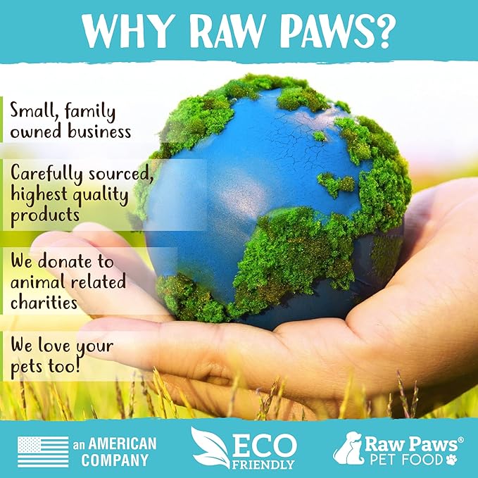 Raw Paws Catnip &amp; Silvervine Lollipops Interactive Cat Toy (6 Pack) - Silvervine Sticks for Cats - Catnip Ball Toy - Fresh Cat Nip - Silver Vine Dental Sticks