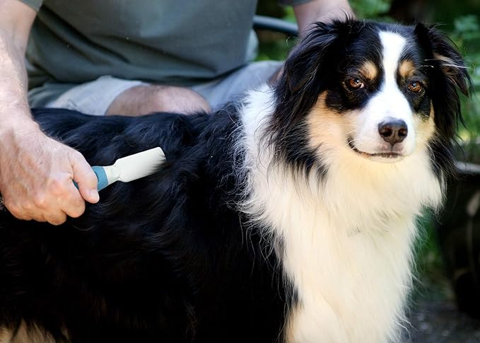 Pets First Professional Pet Mat Remover - Dematting Tool for Grooming Cats &amp; Dogs - Removes Matted Fur, Tangles, Knots, Loose Hair &amp; Dirt - Stainless Steel, Gentle Teeth, Soft Comfort Grip Handle,Blue