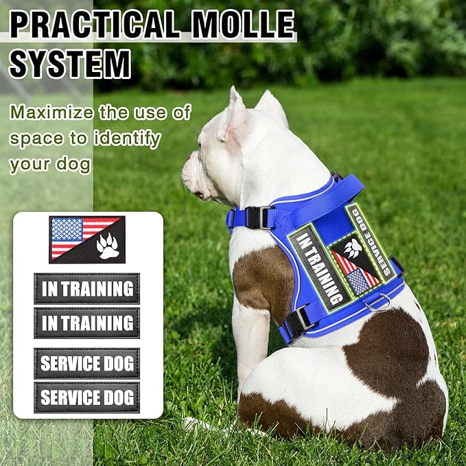 WINSEE Service Dog in Training Harness with 5 PCS Patches, Reflective Tactical Dog Vest Harness, Adjustable Soft Oxford Pet Harness with Easy Control Handle, Hook &amp; Loop Panels for Walking Hiking