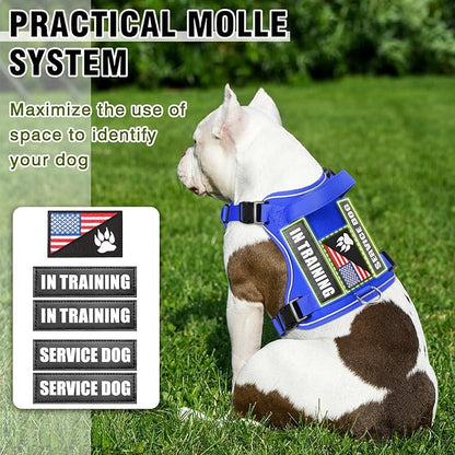 WINSEE Service Dog in Training Harness with 5 PCS Patches, Reflective Tactical Dog Vest Harness, Adjustable Soft Oxford Pet Harness with Easy Control Handle, Hook &amp; Loop Panels for Walking Hiking