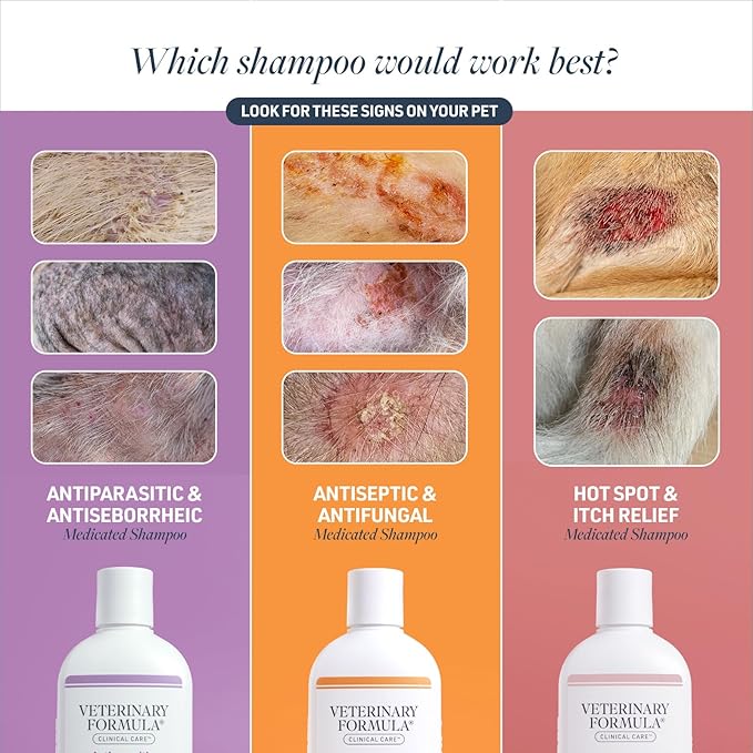 Veterinary Formula Clinical Care Antiseptic and Antifungal Medicated Shampoo for Dogs &amp; Cats, 16 Fl Oz – Helps Alleviate Scaly, Greasy, red Skin – Paraben, Dye, Soap-Free (1 Pack)