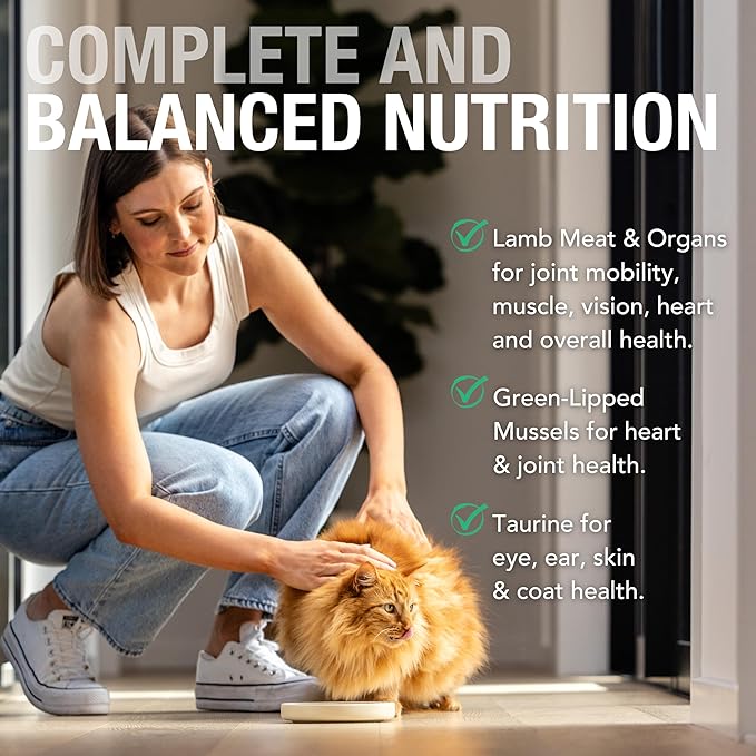 Feline Natural New Zealand Canned Catfood Wet Food, High-Meat, Low-Carb, &amp; Grain Free Cat Food Wet, Lamb Feast, 6 oz, Pack of 12