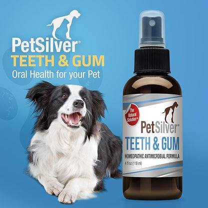 PetSilver Teeth &amp; Gum Spray - Dog Dental &amp; Teeth Cleaning Spray for Plaque &amp; Tartar Build-Up Reduction - Natural Breath Freshener for Dogs and Cats - Patented Chelated Silver - Made in The USA - 4 oz