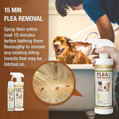 EcoVenger Flea &amp; Tick Removal Spray 16oz for Dogs and Cats, Protects from Fleas, Mites, Ticks &amp; Mosquitoes, eliminates+ Repels+ Housekeeping, Indoors/Outdoors, Plant-Based Formula Safe for Pets &amp; Kids