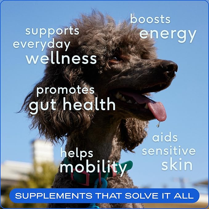 Native Pet The Daily Dog Supplement (60 Scoops) &amp; Salmon Oil for Dogs &amp; Cats (8 Oz) - 11 in 1 Multivitamin &amp; Pure Omega-3 Fish Oil Supplement for Skin &amp; Coat, Joint, Heart Health &amp; Anti-Inflammatory