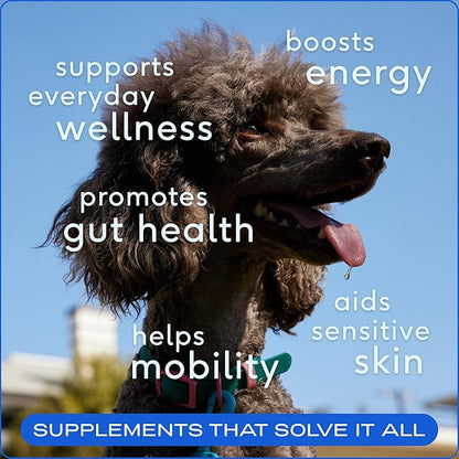 Native Pet The Daily Dog Supplement (60 Scoops) &amp; Salmon Oil for Dogs &amp; Cats (8 Oz) - 11 in 1 Multivitamin &amp; Pure Omega-3 Fish Oil Supplement for Skin &amp; Coat, Joint, Heart Health &amp; Anti-Inflammatory