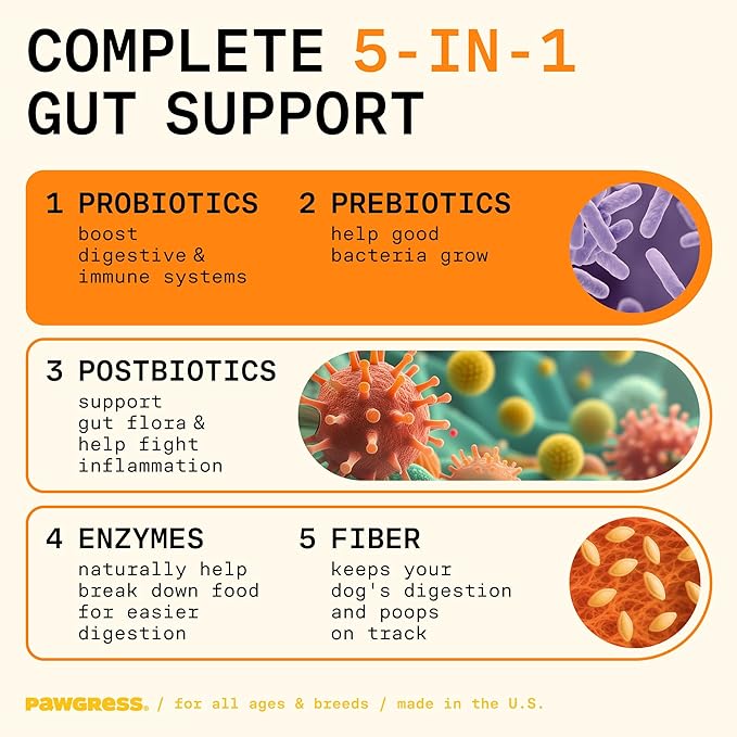 5-in-1 Dog Probiotic Powder – 100% Natural Gut Health Support with Prebiotics, Postbiotics &amp; Enzymes – Crafted by Dog Nutritionist Kayla Kowalski, Made in USA – 30 Scoops