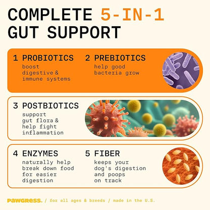 5-in-1 Dog Probiotic Powder – 100% Natural Gut Health Support with Prebiotics, Postbiotics &amp; Enzymes – Crafted by Dog Nutritionist Kayla Kowalski, Made in USA – 30 Scoops
