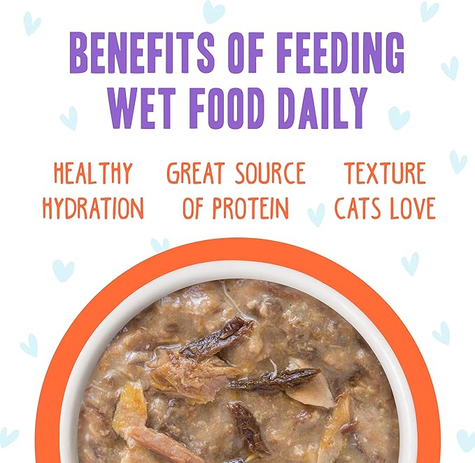 Weruva B.F.F. OMG - Best Feline Friend Oh My Gravy! Grain-Free Wet Cat Food Cans, Crazy 4 U! Chicken &amp; Salmon, 2.8oz Can (Pack of 12)