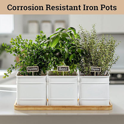 Herb Planter Indoor - 3 Iron Herb Pots with Drainage Holes, Varnished Bamboo Tray, Customizable Labels &amp; Marker Pen - Indoor Herb Garden Planter - 3 Pots for Herbs - Inside Spice Garden - Basil Pot