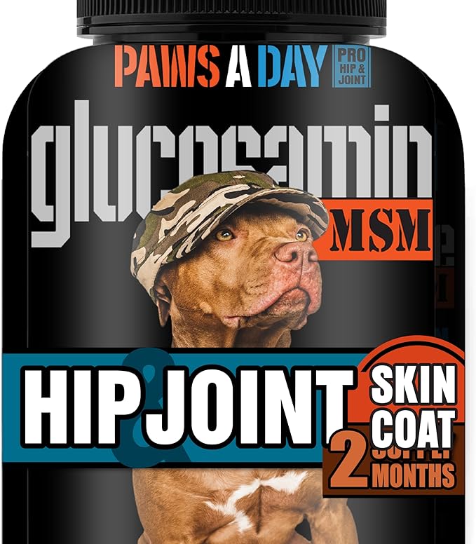 Glucosamine for Dogs Hip &amp; Joint Supplement – “Two-in-One Combo” Dog Joint Care and Improved Skin &amp; Coat with Chondroitin, MSM, Omega 3, Collagen &amp; Biotin, 60 Chewable Tablets