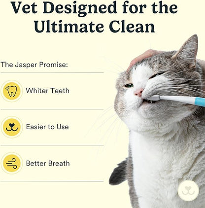 Jasper Microbrush Cat Toothbrush, Soft-Bristled Toothbrush Kit for Felines &amp; Small Dogs, Premium Non-Slip Handle with 2 Replaceable Tooth Brush Heads, Use with Cat Toothpaste