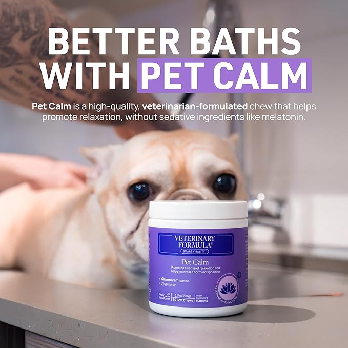 Veterinary Formula Clinical Care Antiseptic and Antifungal Medicated Shampoo for Dogs &amp; Cats, 16 Fl Oz – Helps Alleviate Scaly, Greasy, red Skin – Paraben, Dye, Soap-Free (1 Pack)