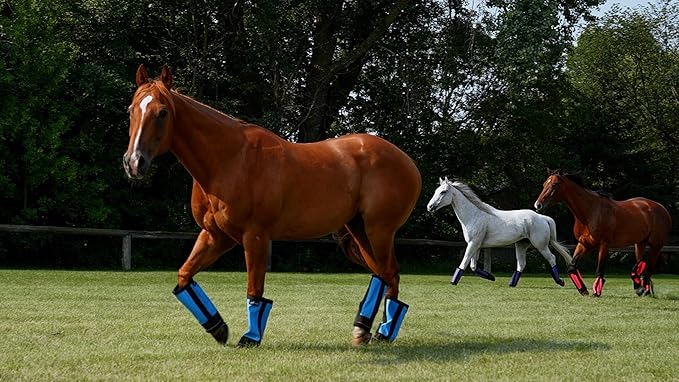 Warrior Fly Boots for Horses - Breathable Mesh Horse Boots for Fly Protection &amp; Leg Comfort - Set of 4 (Trojan Warrior, Gray)