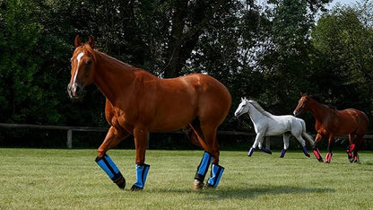 Warrior Fly Boots for Horses - Breathable Mesh Horse Boots for Fly Protection &amp; Leg Comfort - Set of 4 (Goliath Warrior, Neon Pink)