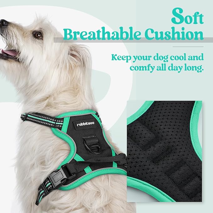 rabbitgoo Dog Harness No Pull with 2 Leash Clips, Adjustable Soft Padded, Reflective Oxford No Choke Pet Vest with Easy Control Handle for Puppy, Black &amp; Turquoise, XS