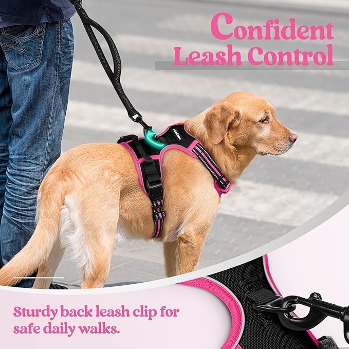 rabbitgoo Dog Harness No Pull with 2 Leash Clips, Adjustable Soft Padded, Reflective Oxford No Choke Pet Vest with Easy Control Handle for Large Dogs, Black &amp; Hot Pink, S