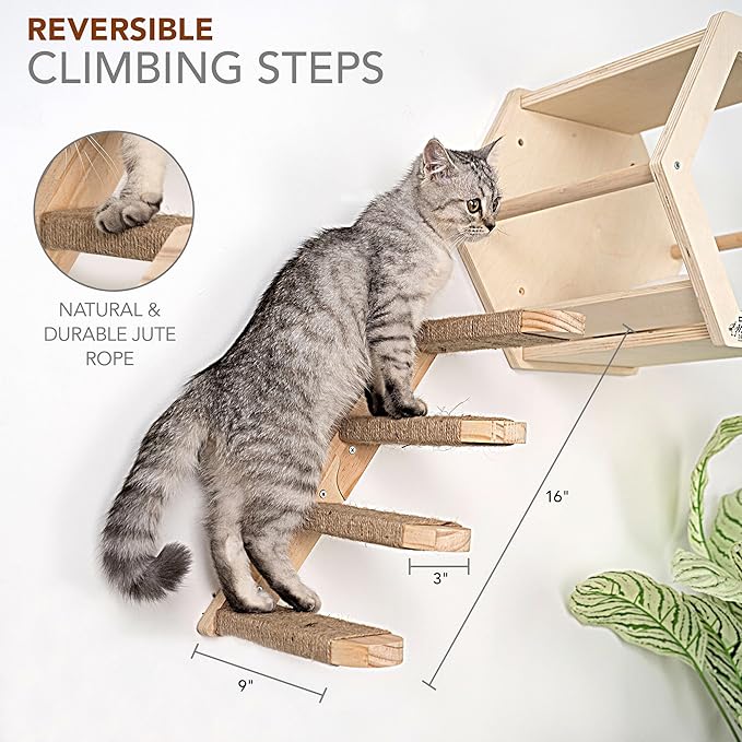 3-Piece Cat Wall Furniture Set - Hammock, Hexagon House, Climbing Steps - Wall Mounted Shelves, Perches, and Beds - Modern Design for Large Cats and Kittens &amp; Spare Hammock Fabric Included
