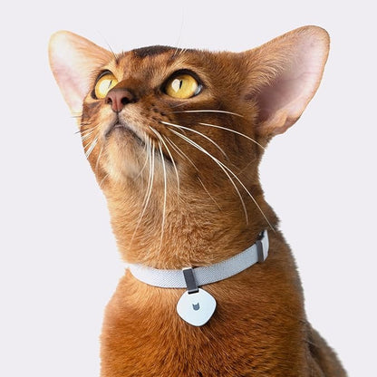 Safety Cat Collar Pro - U.S. IDA Gold Awarding Design, Elastic Quick Release Cat Collar with Buckle Non Breakaway - Lightweight for Kitten All Small Large Cats (Sierra Blue, M 7.9-15.7")