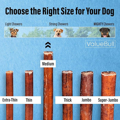 ValueBull Bully Sticks for Dogs, Medium 12 Inch, 25 Count - All Natural, Grass Fed, Single Ingredient, Long Lasting Dog Treats