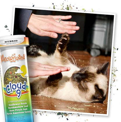 Meowijuana Rainbow Bundle | Get Kickin&