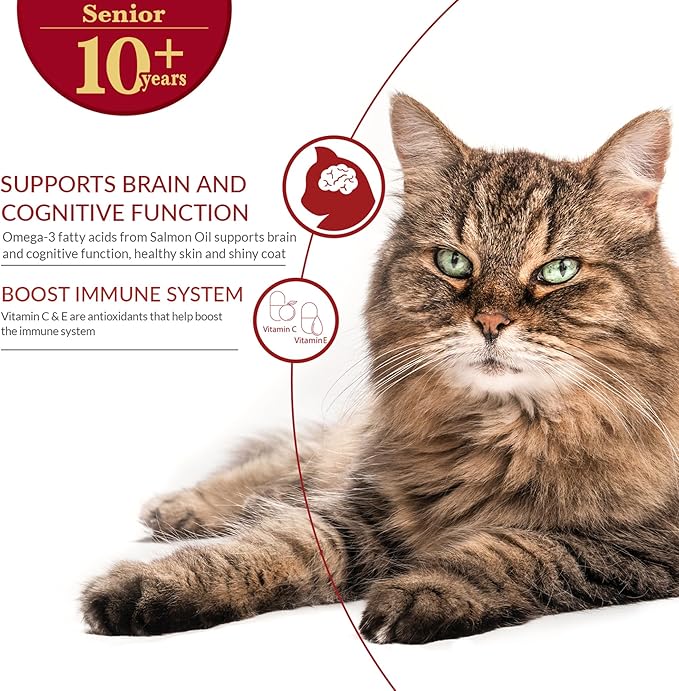 INABA Churu Broth for Cats Senior 10+, Side Dish Pouch, 1.4 Ounces per Pouch, 12 Pouches Total, Chicken &amp; Tuna Recipe